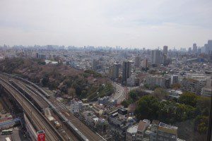 北とぴあから飛鳥山公園をのぞむ